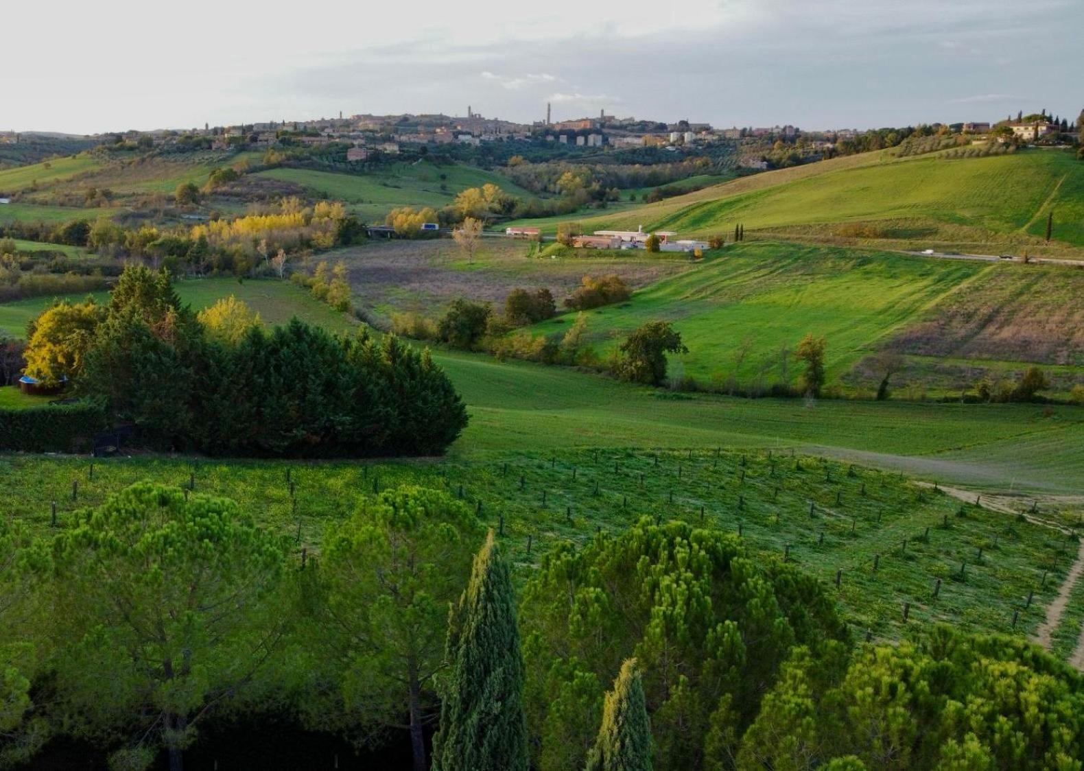Agriturismo La Terrazza Sul Mangia Siena Exterior photo
