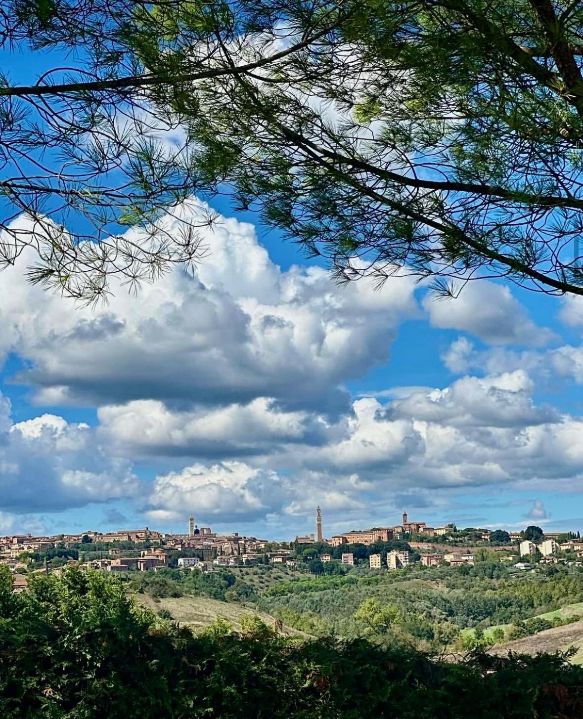 Agriturismo La Terrazza Sul Mangia Siena Exterior photo